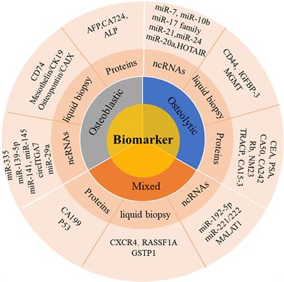 Potential biomarkers for the early detection of bone metastases
